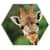 Animals of Africa