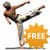 Taekwondo Forms free