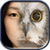 Animal Face Changer
