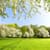 Spring Live Wallpapers Best