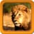 Lion Live Wallpapers Best