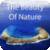 Free Amazing Nature Wallpapers 