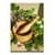 Home Remedies : A complete health guide