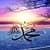 Islamic Ocean LWP