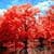 Beautiful Lake Live Wallpaper 2