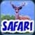 BabyFirst's Safari Defteri