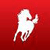 Amazing Horse Facts