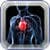 Heart Murmurs Information
