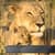 Fantastic Animal Photo Frames