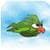 Amazing Bird Challenge