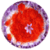 Saffron Or Kesar Get Beautiful Skin