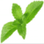 Benefits of Stevia