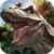 Deadly Wild Dino Simulator 3d