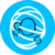 Cyber Twist