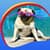 Cute Pugs Live Wallpapers