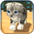 Hero Cat