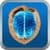 My Brain Fitness