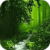 Secret Green Forest Live Wallpaper