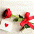 Greetings Cards - love