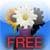 Build-a-Bouquet Free