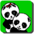Panda mimi bears