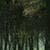 Nature Live Wallpaper 52