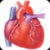 A Heart Surgery