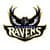 Baltimore Ravens Fan App