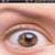See in the Eye Animated