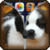 Puppy Lock Screen Zipper HD