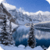 Beautiful Winter Live Wallpaper HD