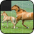 Picture Puzzle Best Game