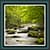Live Wallpapers - Nature