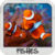 Fish Wallpapers