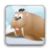 Ice Slide