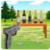 Bottle Shooting Game 2017
