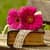 Flower Wallpaper HD Backgrounds
