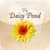 Deep Relaxation - Relax & Sleep Better with The Daisy Pond