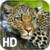 Leopard Live Wallpaper HD