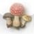 Wild Mushrooms of North America and Europe by Roger Phillips