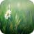 Grass 3D Live Wallpapers