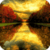 Beautiful Fall Live Wallpaper HD