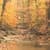 Nature Live Wallpaper 37