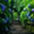 Nature city wallpaper  pic