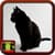 Black Cat Wallpapers