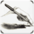 Drawing and Painting Lessons