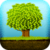 Trees Species