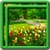 Garden Live Wallpapers Free