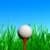My Golf Caddy