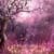 SAKURA FOREST LWP